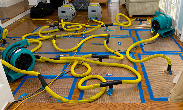 Professional Burst Pipe Water Damage technician working in Aberdeen, MD